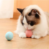 Electric Dog Toys Smart Puppy Ball Toys Cat Toys, Automatic Moving Rolling Ball For Indoor Cats