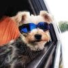 Dog Goggles Small Dog Sunglasses UV Protection Big Cat Glasses Fog/Windproof Outdoor Doggy Eyewear with Adjustable Band for Small Dogs